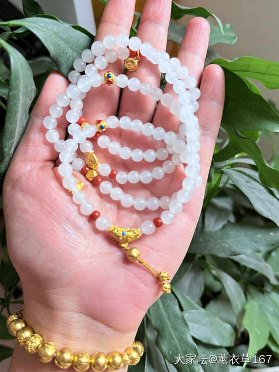 金子迷幻。_金串珠