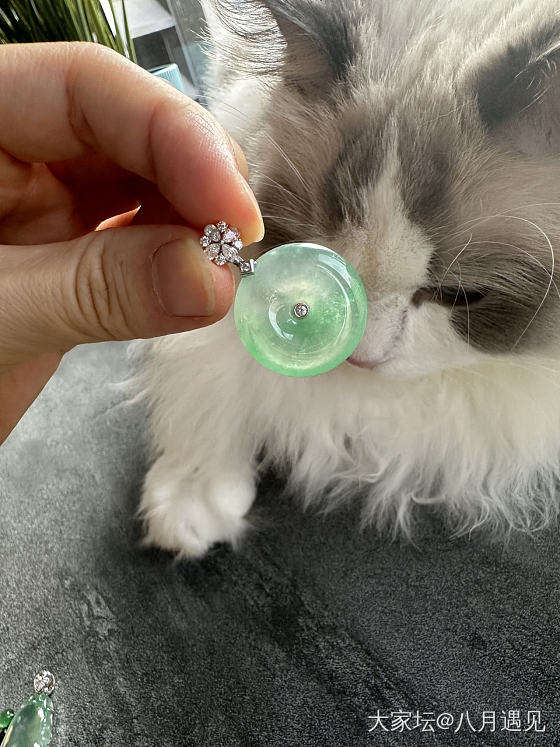 都是值得带回家的吊坠_吊坠翡翠