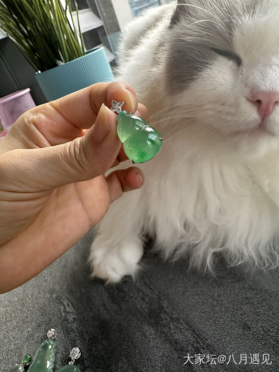 都是值得带回家的吊坠_吊坠翡翠