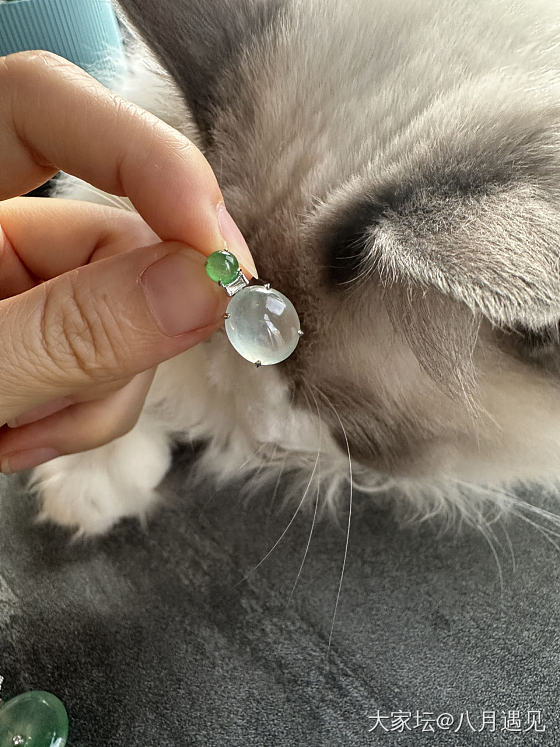 都是值得带回家的吊坠_吊坠翡翠