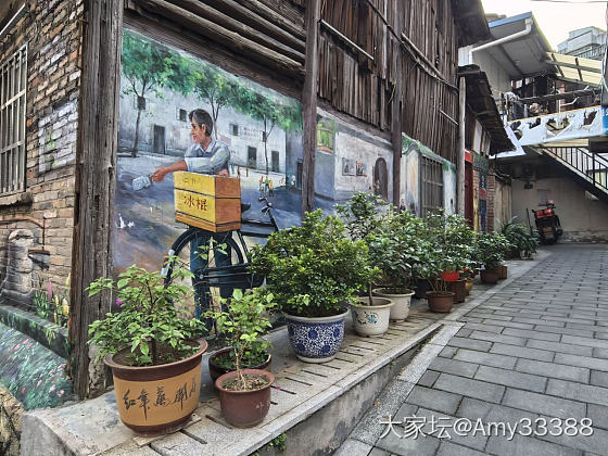 生活在这小山城，无意中发现这满墙的暖意。_闲聊