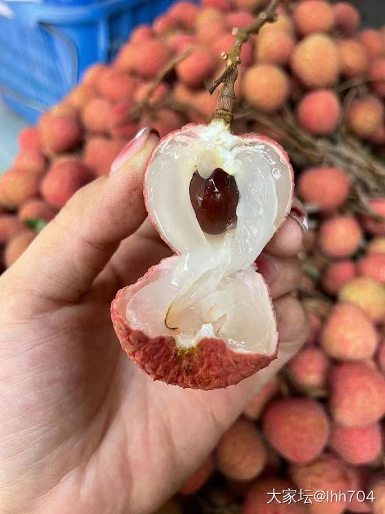 白糖罂妃子笑开售_品味