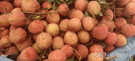 白糖罂妃子笑开售_品味