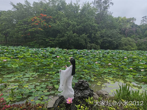 逛公园_景色闲聊