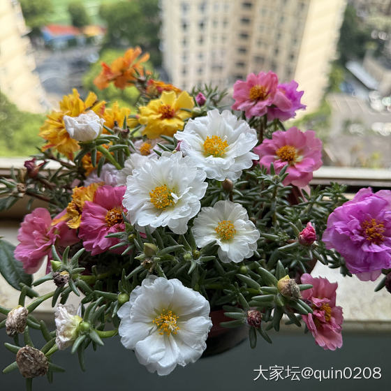 2025/5/30_厨艺