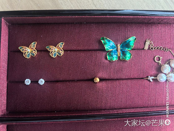 返个校长家蝴蝶🦋_金