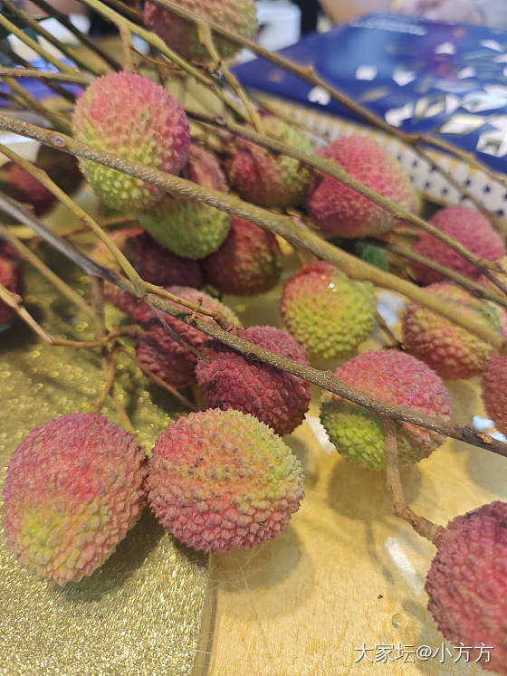 端午安康_植物
