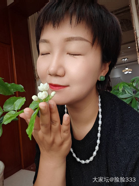 茉莉_植物