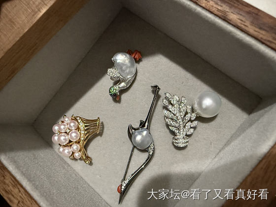 夏天了 胸针收起来_金