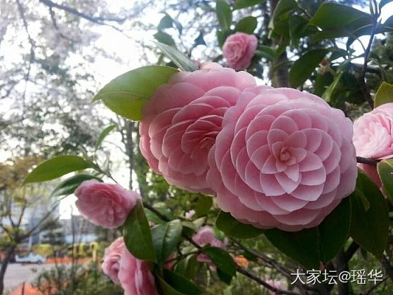 穷，再买买买和省省省中无线次纠结