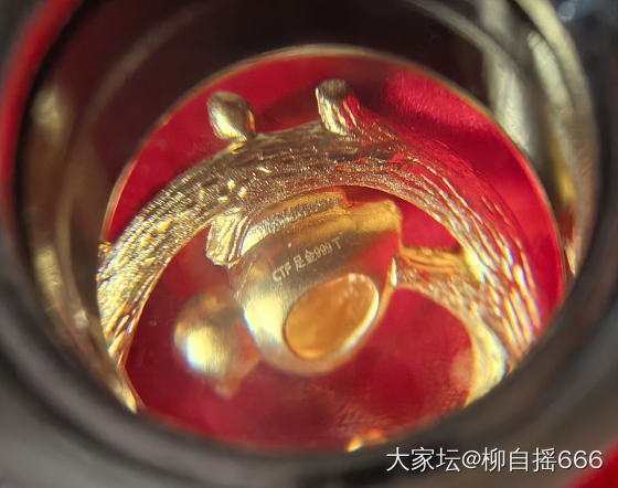 四只小肥啾❤️_金
