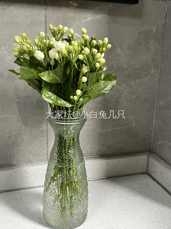 今天的小可爱_金
