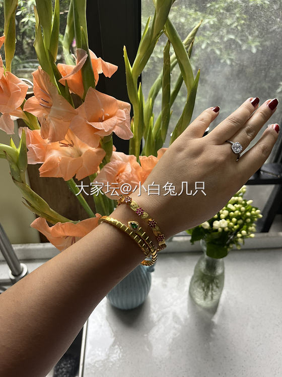 今天的小可爱_金