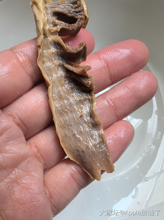 请教这种干笋上的一层灰膜，正常吗？_食材