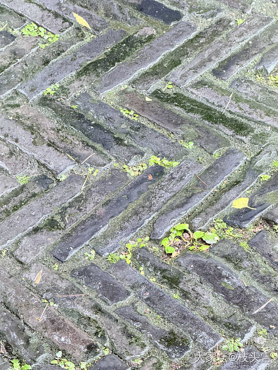 分享一些烟雨江南