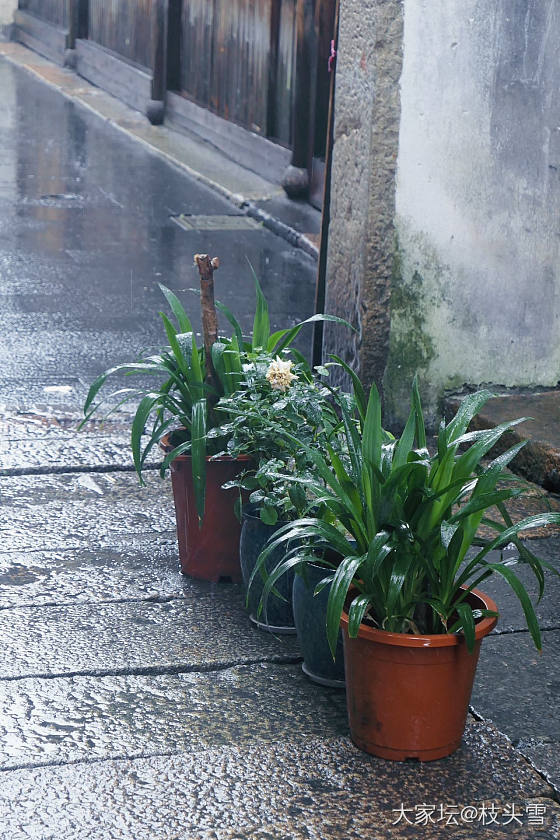 分享一些烟雨江南