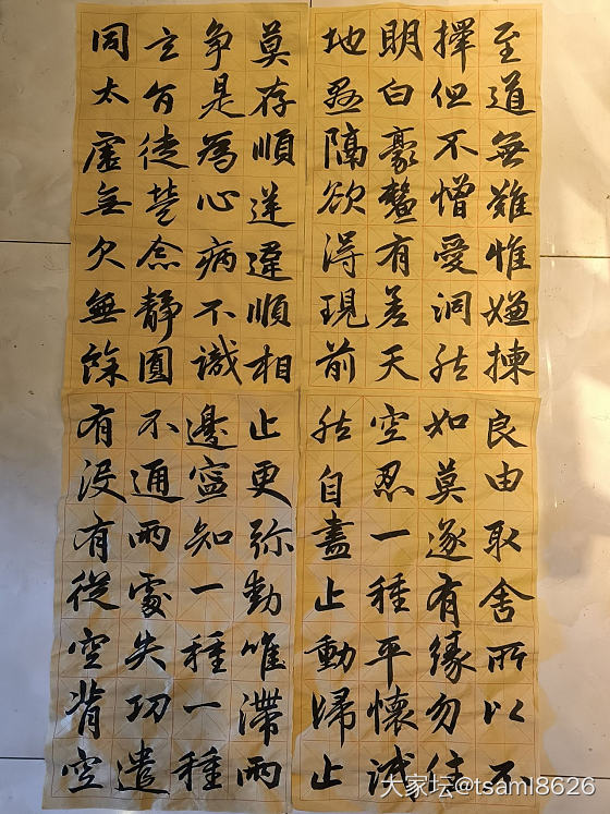 自学书法一年半了_书法