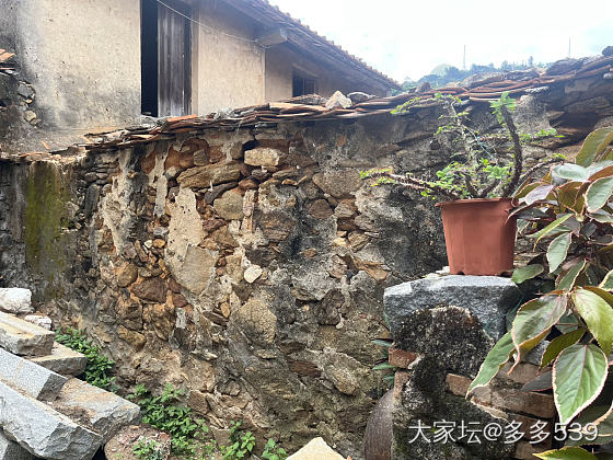 渔村古镇_景色