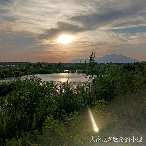 世上为啥要有蚊子？！_闲聊