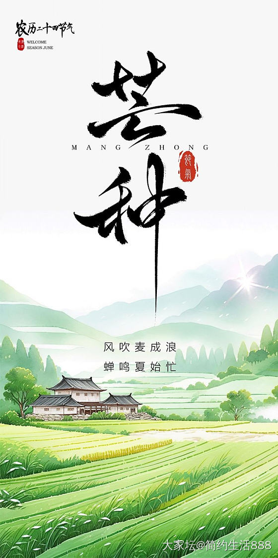 今日芒种 | 愿你“芒”有所获 “种”有所得！_节日