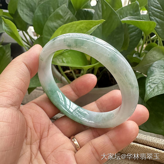 放漏-辣绿白底青59.5mm_翡翠