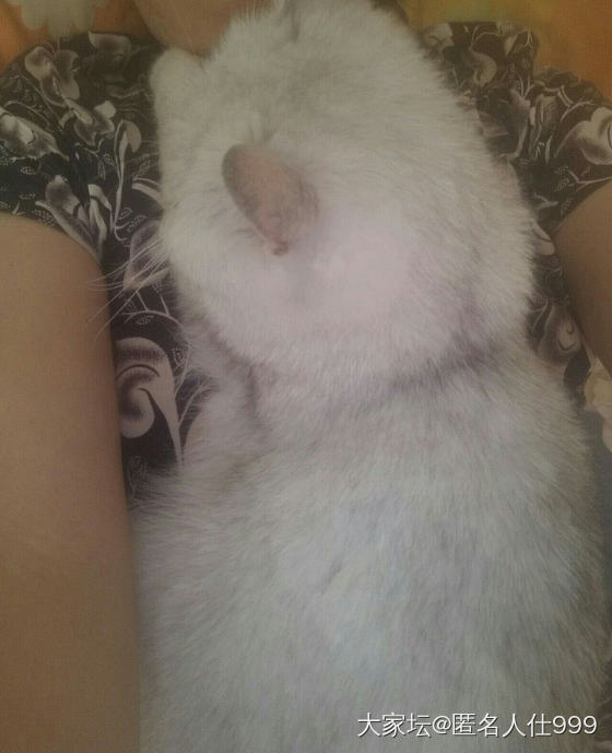 不服老不行_健康闲聊