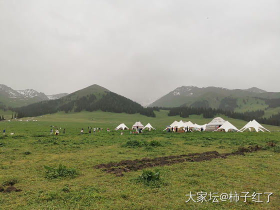 牛马们你的草原又来啦_闲聊