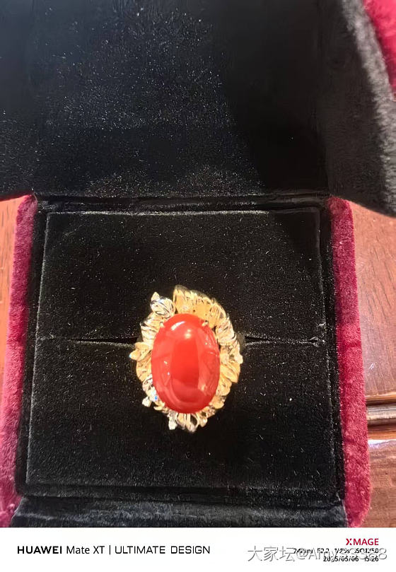 这是珊瑚吗_珊瑚