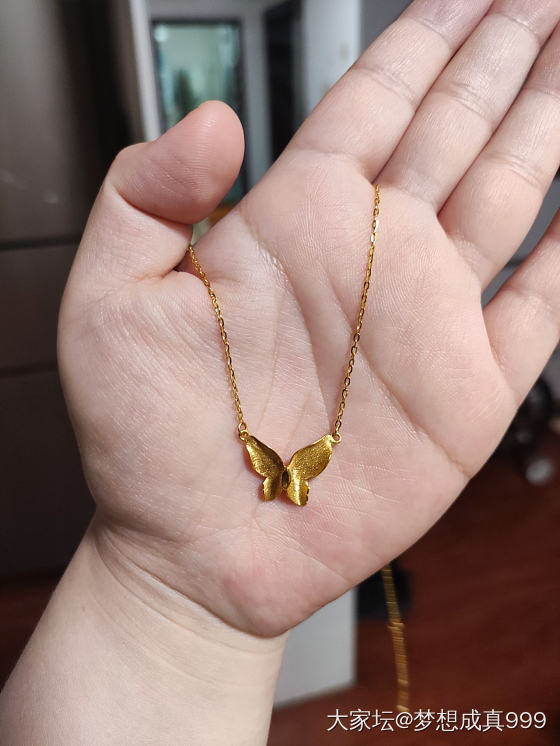 昨天问大家的蝴蝶🦋，今天就飞到了我手里😄_金