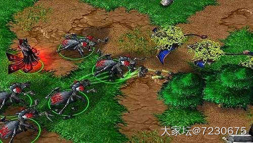 这是什么虫_昆虫