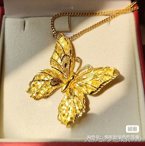 最近种草各种蝴蝶🦋项链_项链金
