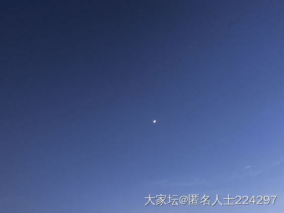 吐槽贴-人生孩子为了什么？