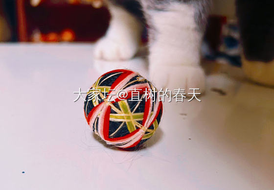 “麻麻陪我玩儿嘛～”_手工diy猫