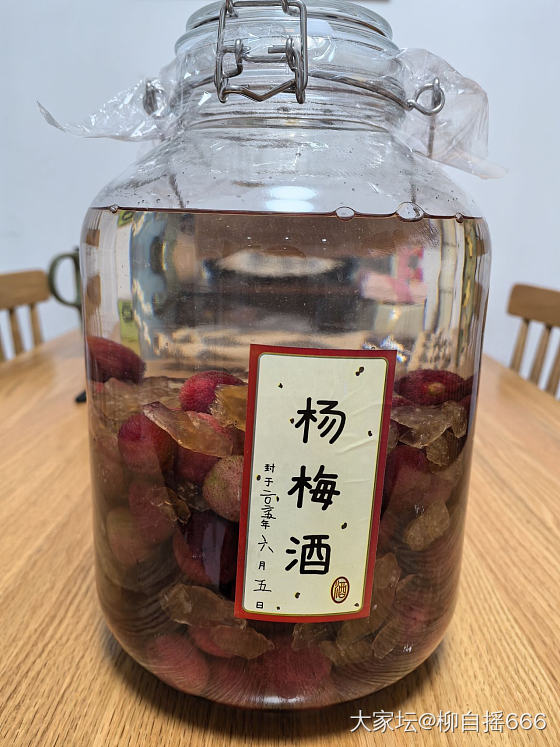 泡了两坛酒_美食