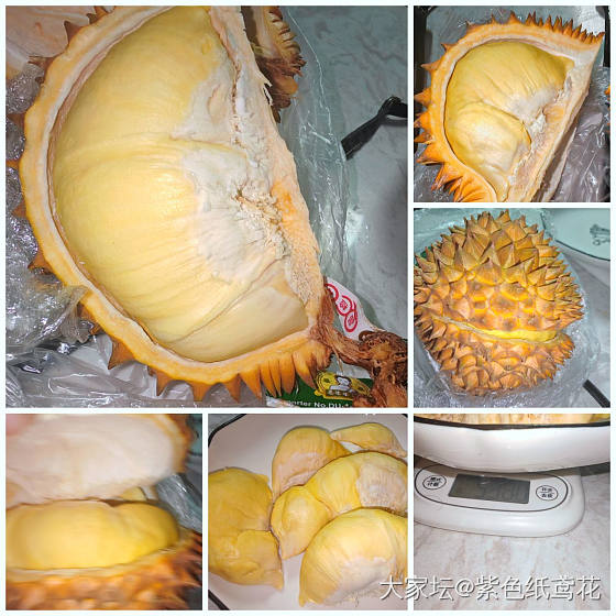 开心一刻：虽然出肉率不高，但也还算个胖子。_水果