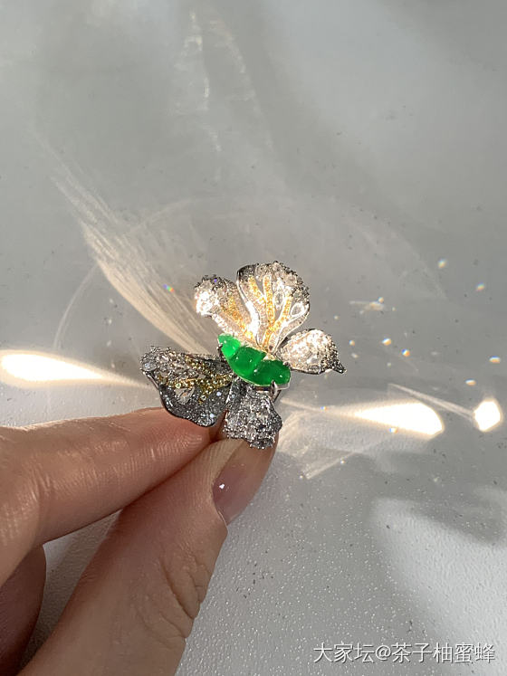 蝴蝶最后一波照片_戒指翡翠