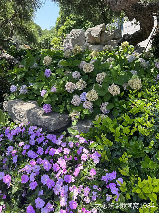 夏意浓_景色