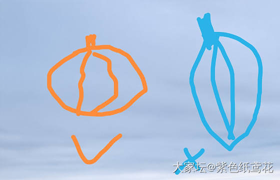 榴莲挑选技巧讨论。_水果
