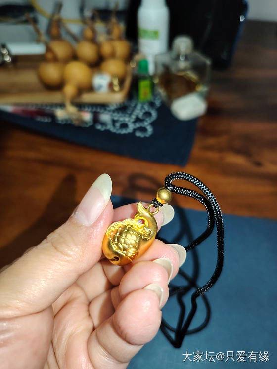 晒晒我的小金鱼_金