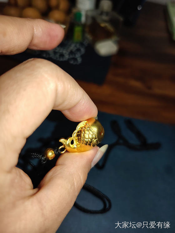 晒晒我的小金鱼_金