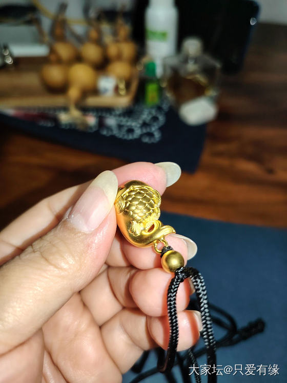 晒晒我的小金鱼_金