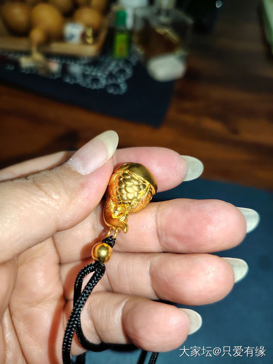 晒晒我的小金鱼_金