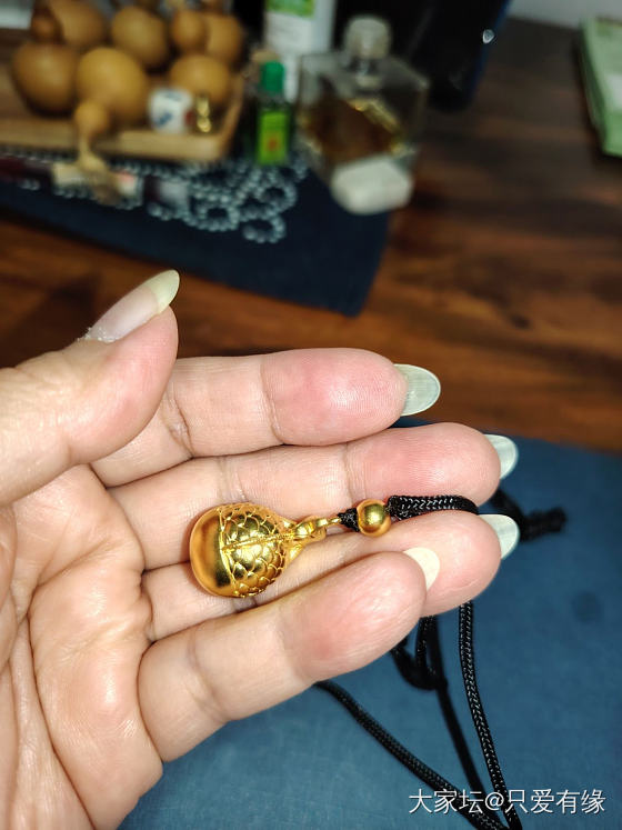 晒晒我的小金鱼_金