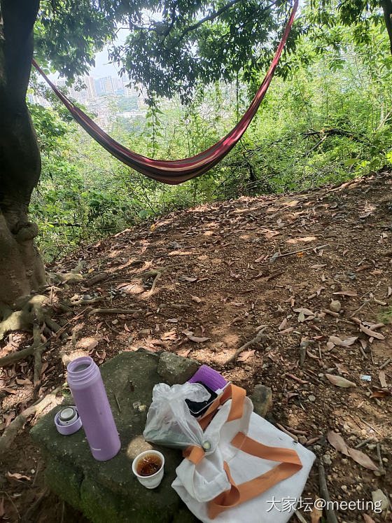 你看这奶奶多会享受生活_闲聊