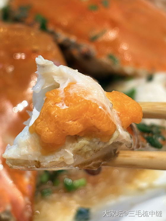 朱家尖的海鲜，算不算贵？_美食