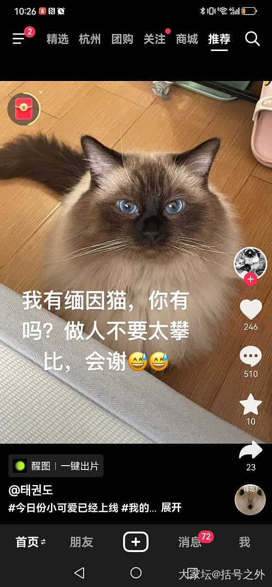 忽然发现没有男模跳舞了…_猫