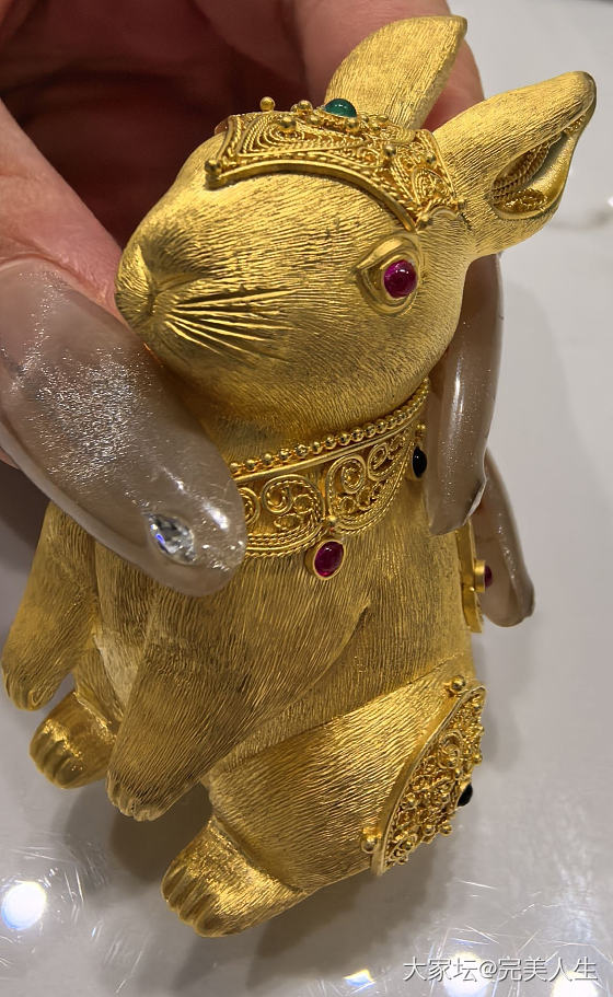 赶上收税的最后一天入了228克的兔子🐰刚好儿子的生肖，昨天晚上拍今天上午就到了水..._金