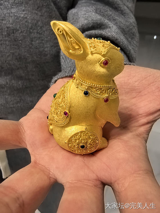 赶上收税的最后一天入了228克的兔子🐰刚好儿子的生肖，昨天晚上拍今天上午就到了水..._金