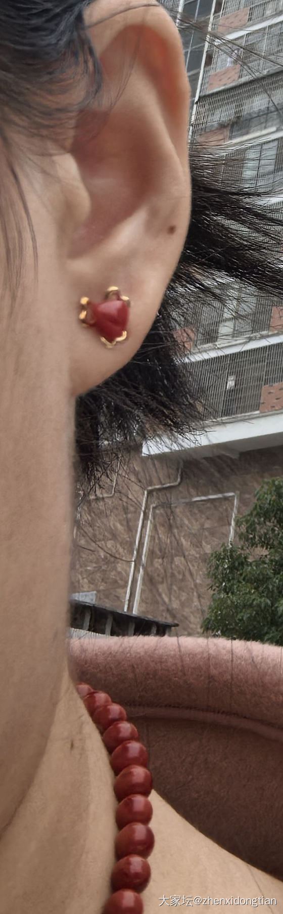 阿卡18K耳钉_耳钉珊瑚