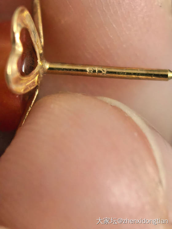 阿卡18K耳钉_耳钉珊瑚